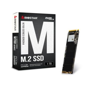 כונן SSD פנימי BIOSTAR M700-1TB