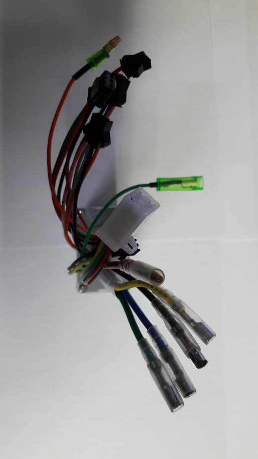 בקר לאופניים חשמליים 250W 36V תמונה 3