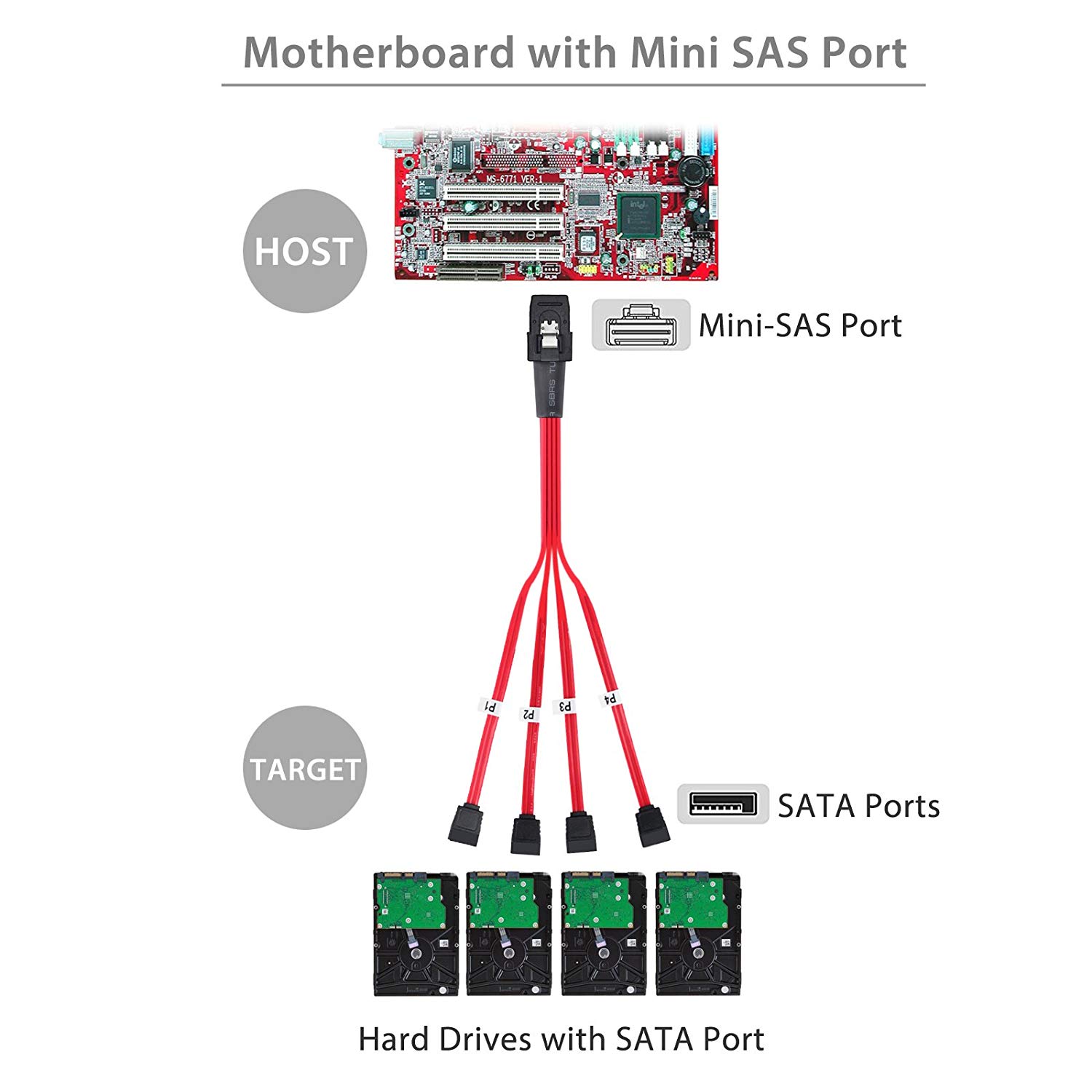 כבל raid cable sas to 4 sata תמונה 3